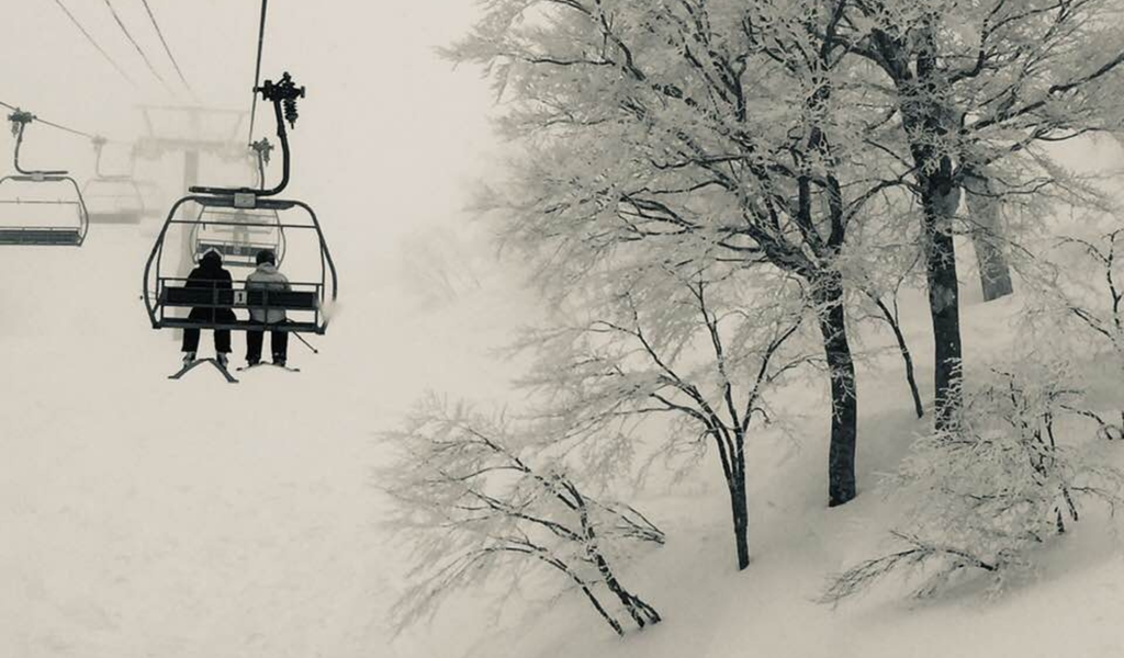 Winter 2026 Early Release - THE JAPAN EDIT -